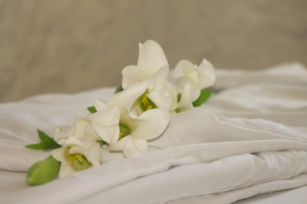 Kula Sabunike Hotel Privlaka  Croatia